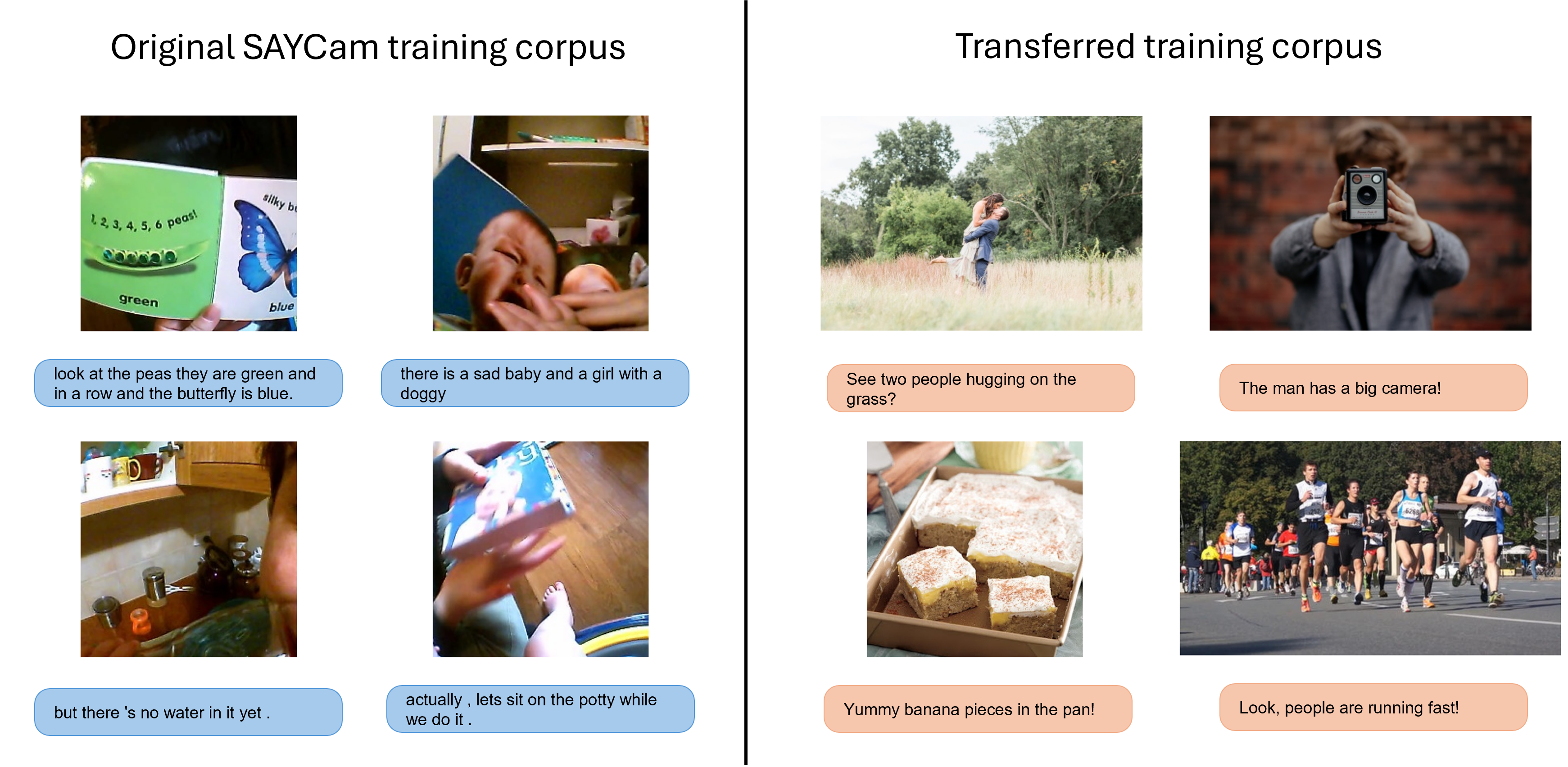 Dataset examples